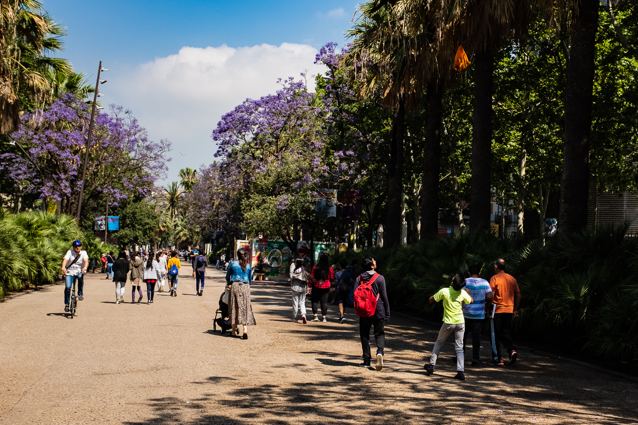 People on the streets of Barcelona, Spain.