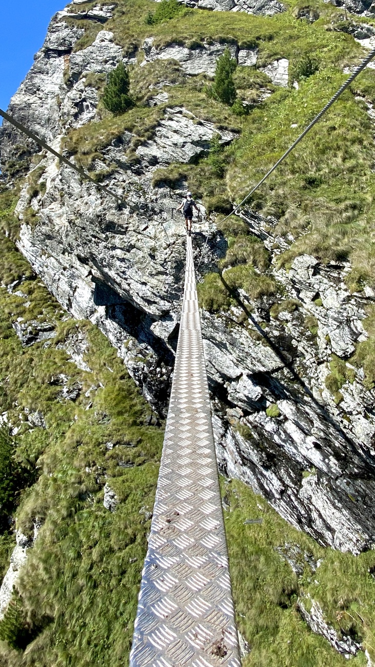 A bridge at the 