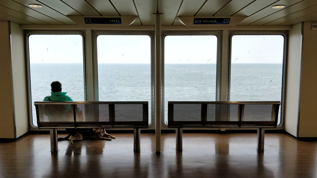 A man and his dog on the ferry from Den Helder to Texel, Netherlands.