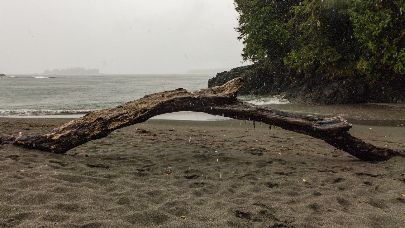 Rainy day near Tofino, Vancouver Island, Canada.